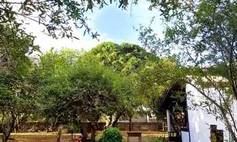 Imagem 5: Imóvel Casarão em Hidrolândia - 2.466 m²