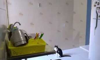 Imagem 5: Casa à venda no bairro Centro - Fortaleza/CE