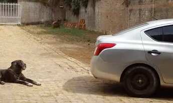 Imagem 6: OPORTUNIDADE ÚNICA! Linda casa em Cond. Fechado! Lote 514m²! 3Quartos! C/suíte! Confira!