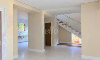 Imagem 6: São Paulo - Casa Padrão - Jardins