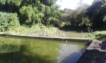 Imagem 3: São Paulo - Terreno Padrão - Itaquera