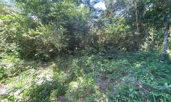 Imagem 5: Vendo terreno pajussara