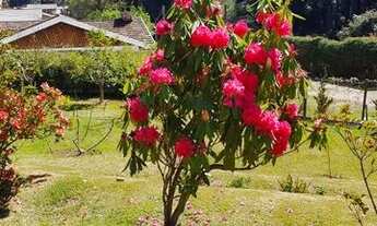 Imagem 2: Casa em Campos do Jordão com 3 dormitórios, área gourmet completa em condição imperdível