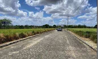 Imagem 3: LIMOEIRO - Casa Padrão - CAMPO GRANDE