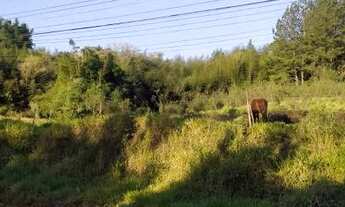 Imagem 3: Lote/Terreno para venda possui 500 metros quadrados em Verava - Ibiúna - SP