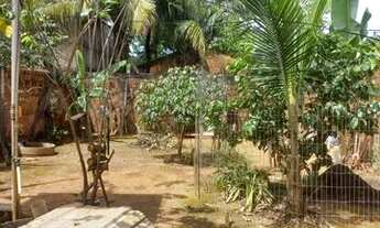 Imagem 4: VENDE-SE CASA Casa com 3 dormitórios