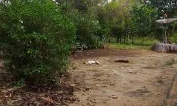 Imagem 2: Terreno rural Terreno / lote com venda por R$500.000