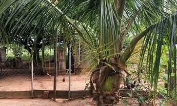 Imagem 7: Chácara em Anhumas -sp