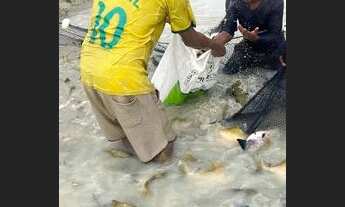 Imagem 6: Vendo sítio na estrada de novo airão, fica 130 km de Manaus