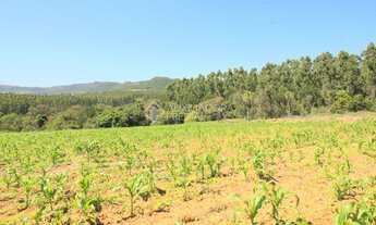 Imagem 6: SãO LEOPOLDO - Terreno Padrão - Campestre
