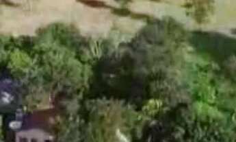 Imagem: SÍTIO 26 HECTARES