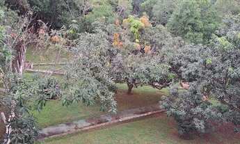 Imagem 3: Chácara em igarata