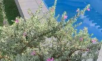 Imagem 3: LINDA CASA EM CONDOMINIO FECHADO - ABRANTES