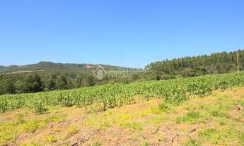 Imagem 7: SãO LEOPOLDO - Terreno Padrão - Campestre