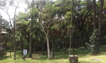 Imagem 5: Terreno no Condomínio Altos Pinheiros em Canela!