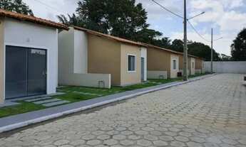 Imagem: Jardim das Violetas