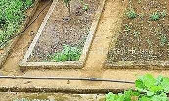 Imagem 7: Ref.: 10003 - Sítio 5000m² - Novo Horizonte