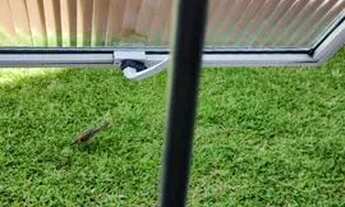 Imagem 5: Para vender hoje! Apartamento 2 quartos em Barreiros