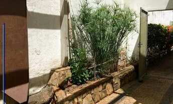 Imagem 7: RIBEIRÃO PRETO - Comercial - JARDIM SUMARÉ