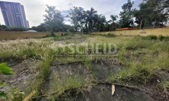 Imagem 5: Terreno de 1650m2, todo plano em excelente localização na Zona Sul