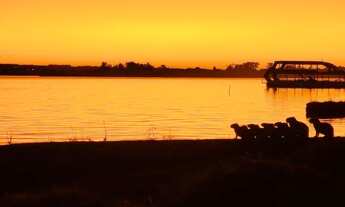 Imagem 4: Lote 2,4 há vista privilegiada do lago