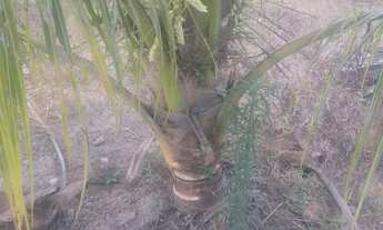 Imagem 7: Ótima oportunidade