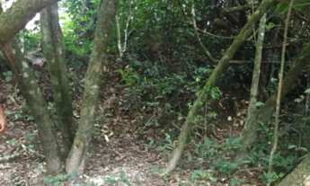 Imagem 6: Lote Chácara 4500,00 em Vianópolis - Goiás