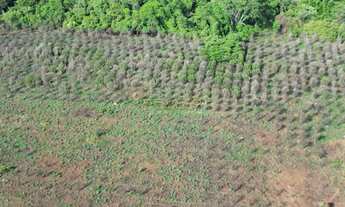 Imagem: Chacara 5000 metros apenas 1.7 km de chão