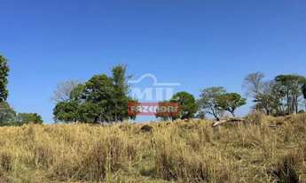 Imagem 5: Fazenda 198 Alqueire (958 hectares) Araguapaz - GO