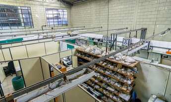 Imagem 6: Galpão comercial para venda em Várzea de Baixo , 384m²