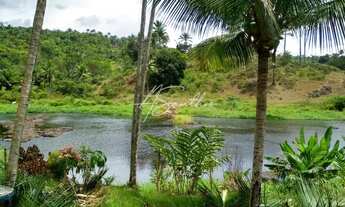 Imagem 2: FAZENDA RURAL em Valença - BA, Valença