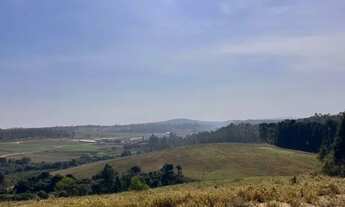 Imagem 2: Terreno com Amplo Espaço e Potencial!