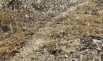 Imagem 5: Terreno à venda, 240 m² por R$ 70.000,00 - Rural - Abadiânia/GO