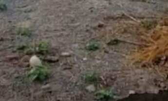 Imagem 2: Terreno em boa localização