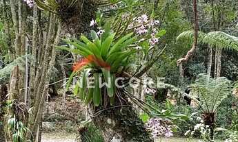 Imagem 7: Lote em Rua Das Orquídeas - Colinas - São Francisco de Paula/RS