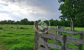 Imagem: Sitio em poconé com 16 ha com duas represas