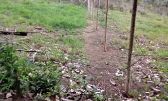 Imagem 6: Oportunidade lotes a 5 min da praia do centro a pé