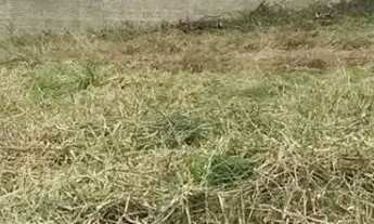 Imagem 3: VENDA TERRENO COM ESCRITURA EM REGIÃO NOBRE DOS INGLESES