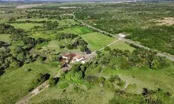 Imagem 6: Excelente fazenda com 50 hectares na região de São Gonçalo do Amarante cortada pelo rio Po