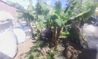 Imagem 7: Vendo uma casa Grande mais 4 casas