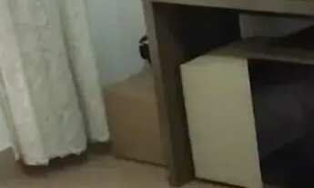 Imagem 6: Chácara em Jarinu 180m construídos 2500m total