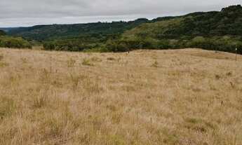 Imagem 5: 70 hectares de campo em São Francisco de Paula RS