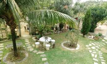 Imagem 7: Chácara com grande produção de Pitaia em Guarapari - ES