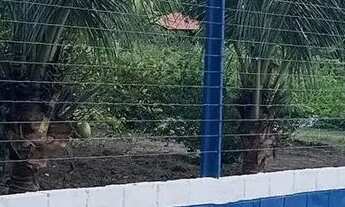 Imagem: CHÁCARA À VENDA - POVOADO PÉ LEVE, ARAPIRACA