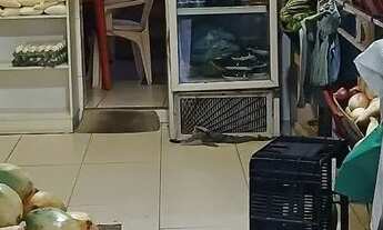 Imagem: Passo ponto comercial- localizado perto