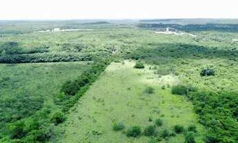 Imagem 2: Terreno a venda na Avenida Nicanor Barreto, Vale Quem Tem. 100,00x500,00!