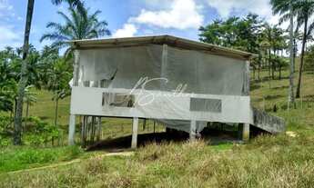 Imagem 5: FAZENDA RURAL em Valença - BA, Valença