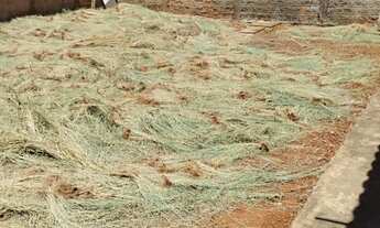 Imagem 5: Casa a venda! Casa com 2 dormitórios