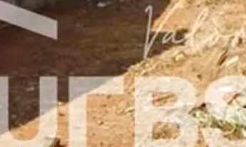 Imagem 2: Lote em área de alta valorização e potencial construtivo.