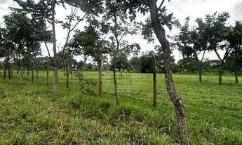 Imagem 2: Chácara Para Venda No Bairro Douradinho